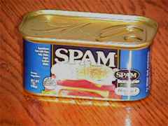 spam01.JPG (6497 bytes)